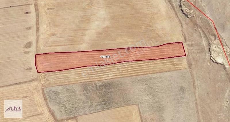 Liva'dan Akmescit'te Çevre Yola Yakın 8141 M² Tek Tapu - Görsel 9