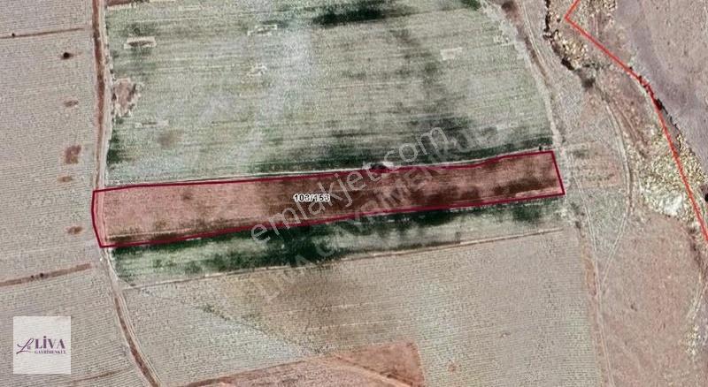 Liva'dan Akmescit'te Çevre Yola Yakın 8141 M² Tek Tapu - Görsel 8