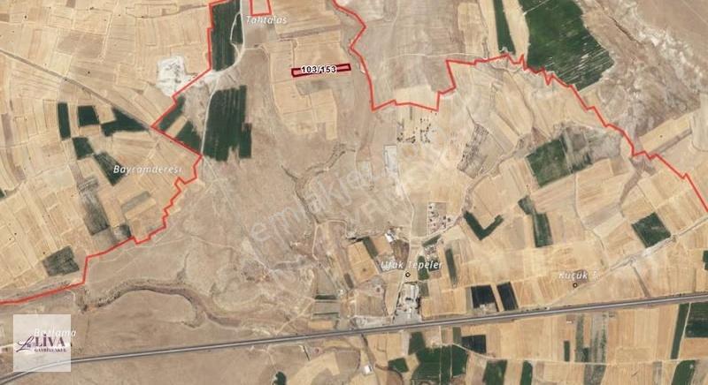 Liva'dan Akmescit'te Çevre Yola Yakın 8141 M² Tek Tapu - Görsel 11