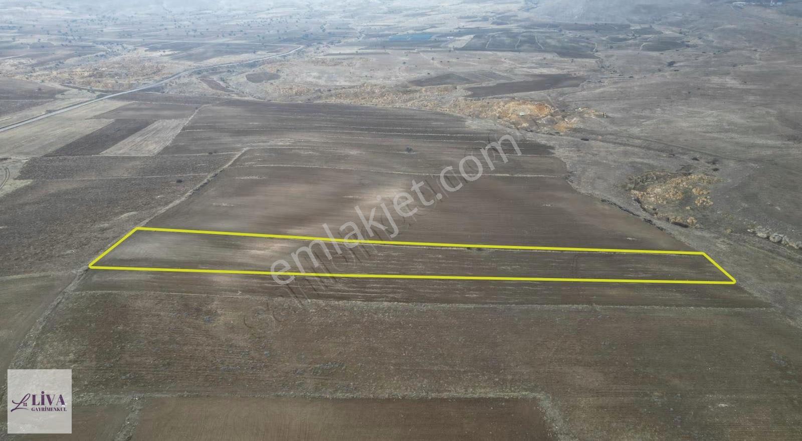 Liva'dan Akmescit'te Çevre Yola Yakın 8141 M² Tek Tapu - Görsel 5