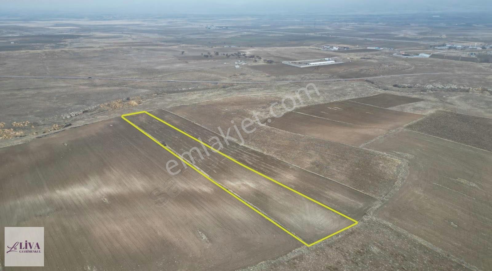 Liva'dan Akmescit'te Çevre Yola Yakın 8141 M² Tek Tapu - Görsel 6