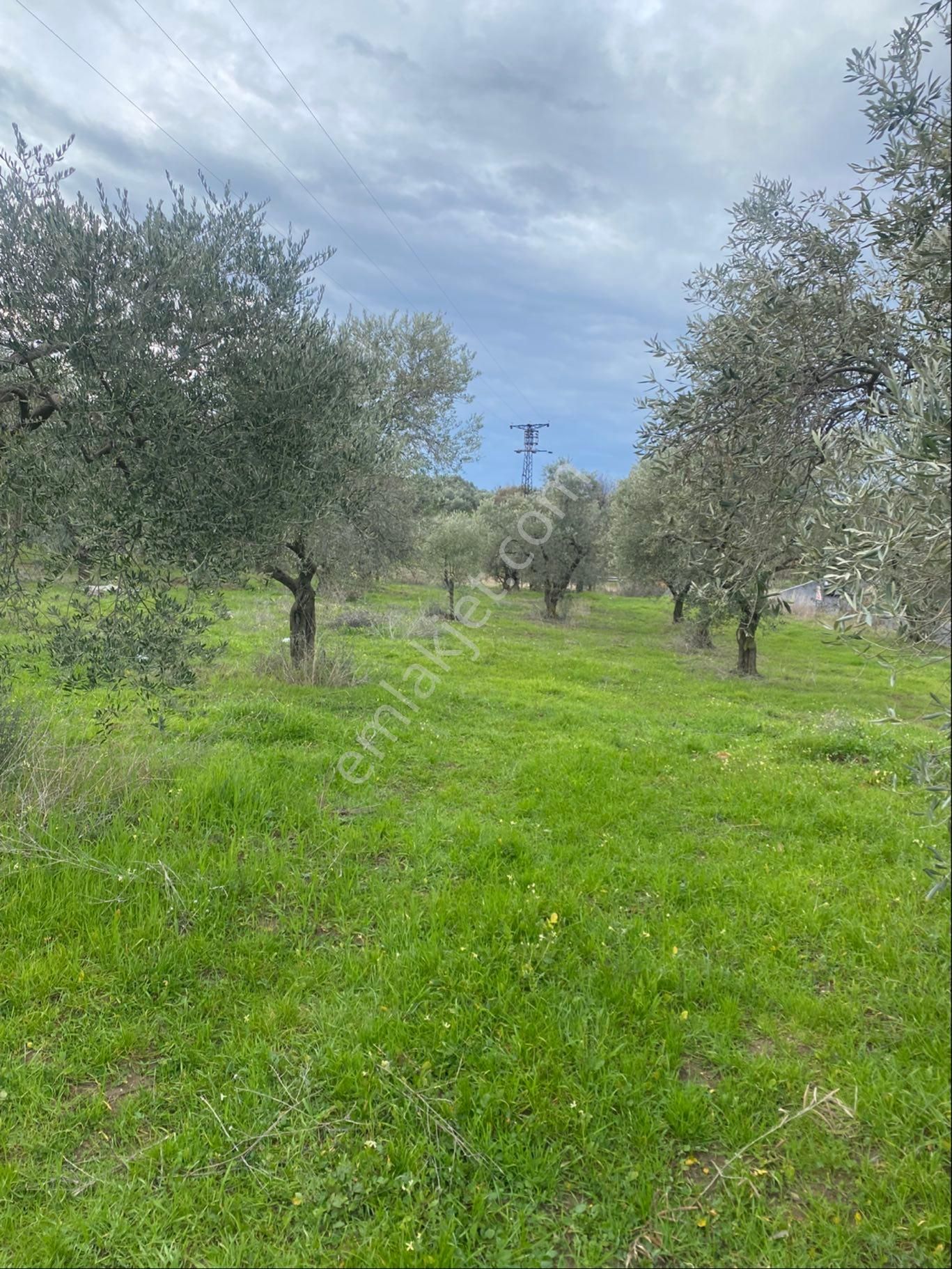 Atıcı Group’dan Yeni Şirince Yolu Üzeri Yola Cephe Satılık Arsa. - Görsel 7