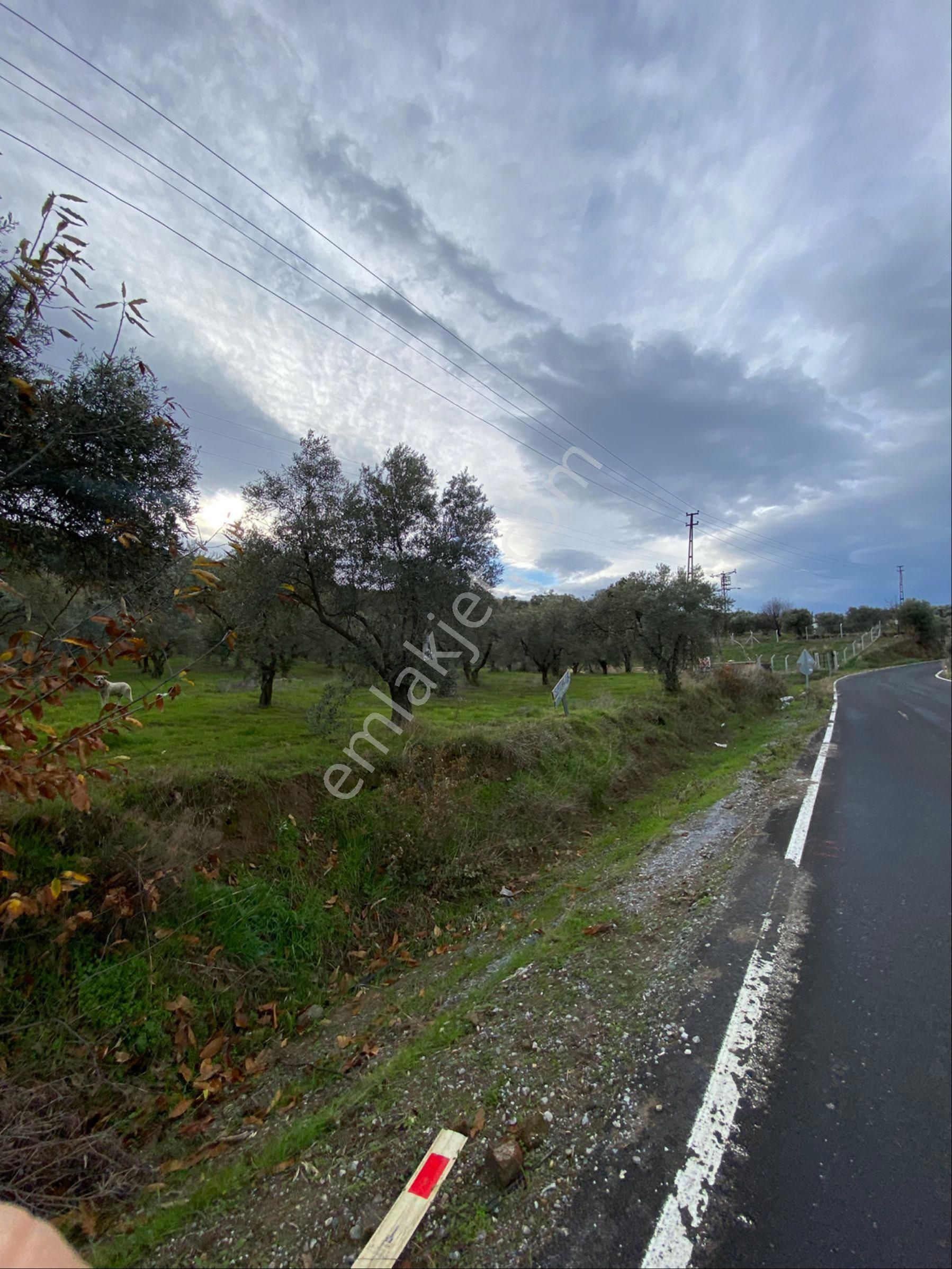 Atıcı Group’dan Yeni Şirince Yolu Üzeri Yola Cephe Satılık Arsa. - Görsel 2