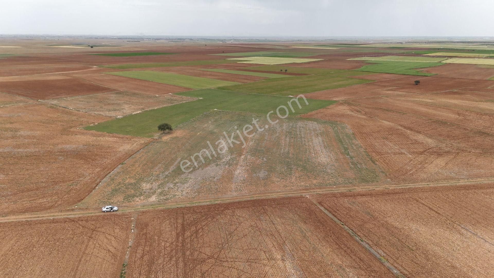 Konya / Meram / Kayhüyük Da 14.340 M² Müstakil Tarla - Görsel 3