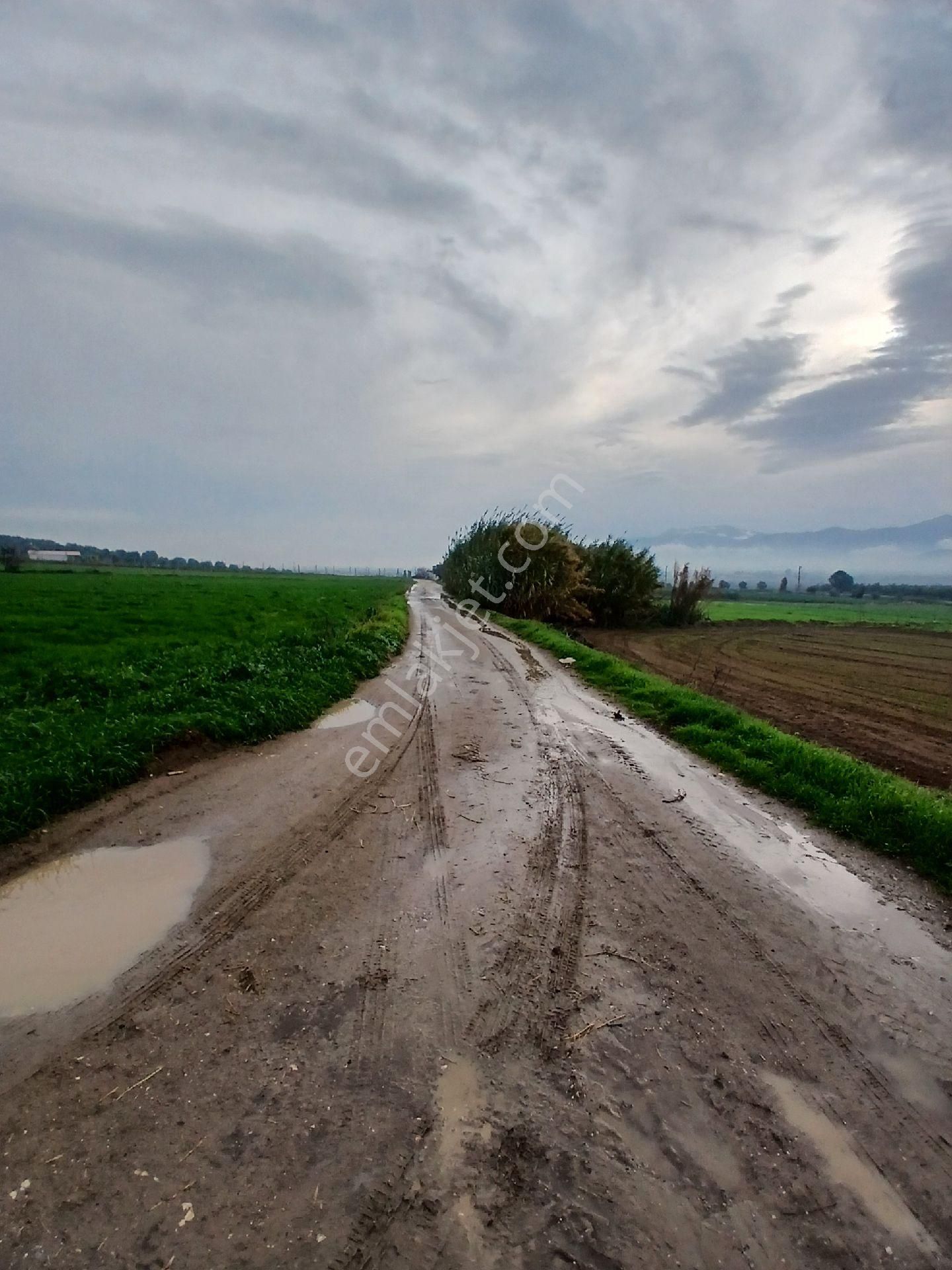 Teira Emlaktan Doyranlı Köy İcinde Satılık Tarla - Görsel 3