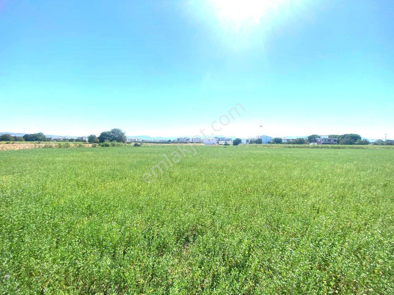 Aktiften Gömeç Yaya'da %20 İmarlı 472 M2 Denize Yakın Konumda Satılık Villa Arsası - Görsel 3