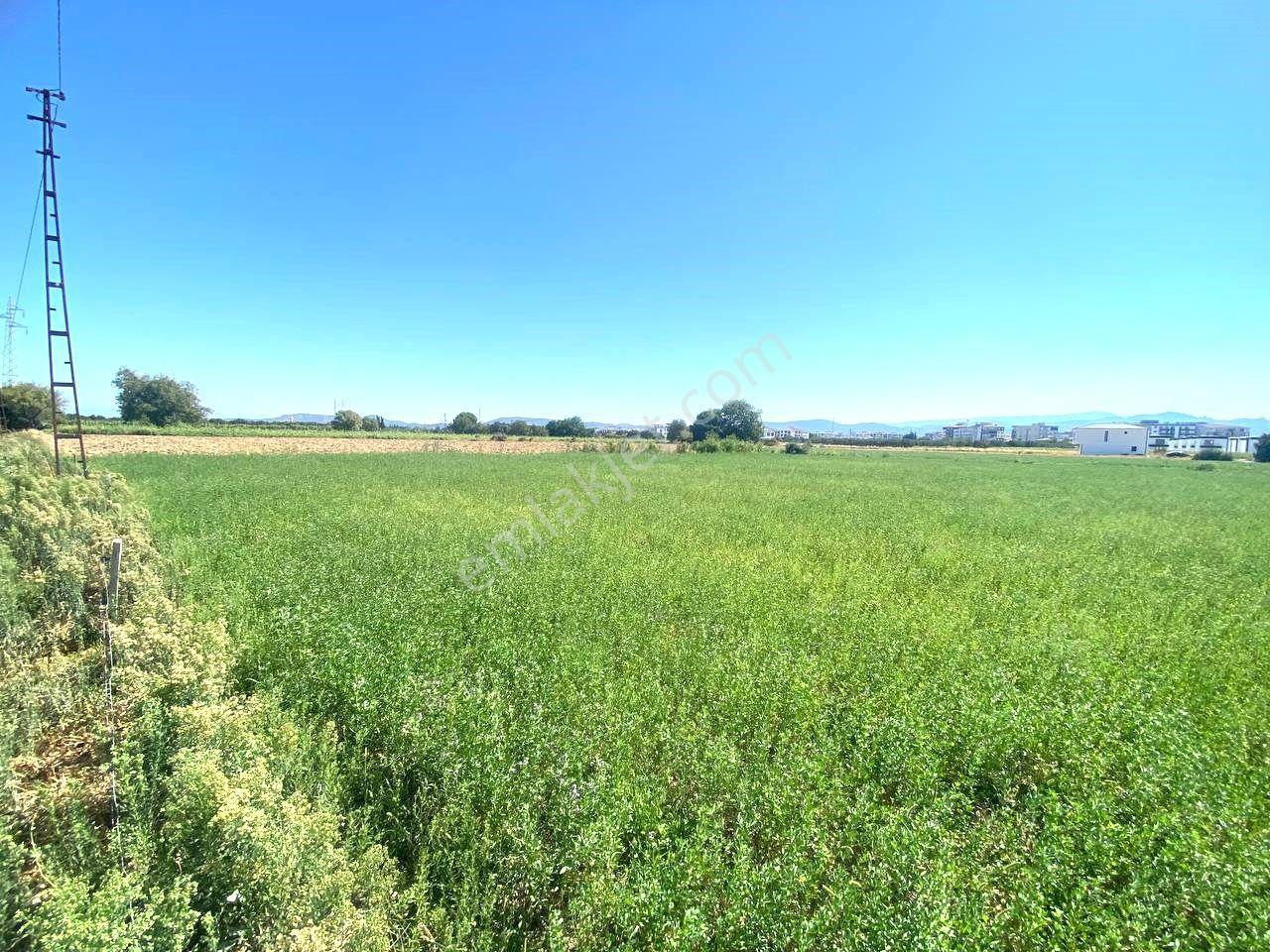 Aktiften Gömeç Yaya'da %20 İmarlı 472 M2 Denize Yakın Konumda Satılık Villa Arsası - Görsel 5