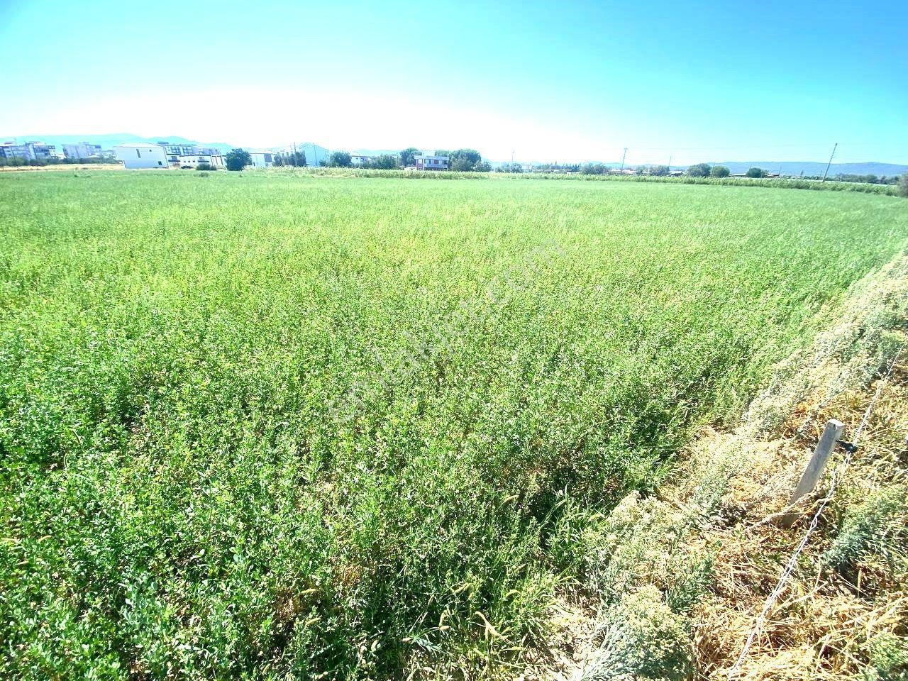 Aktiften Gömeç Yaya'da %20 İmarlı 472 M2 Denize Yakın Konumda Satılık Villa Arsası - Görsel 15