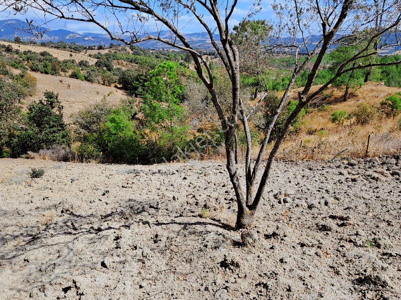 Çizgi Gayrimenkul'den Bergama Kırcalar Mah. Satılık Arazi - Görsel 9
