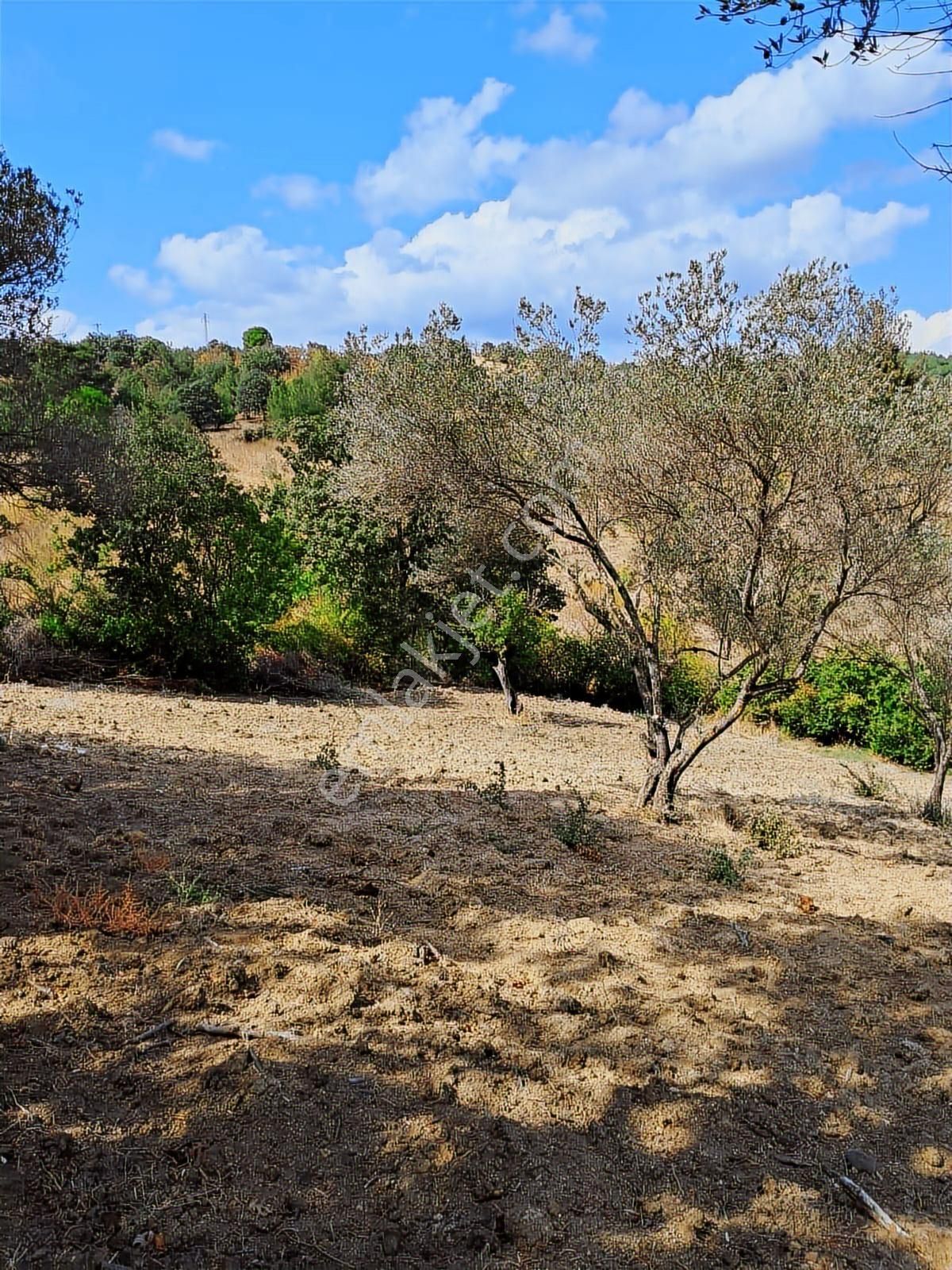 Çizgi Gayrimenkul'den Bergama Kırcalar Mah. Satılık Arazi - Görsel 5