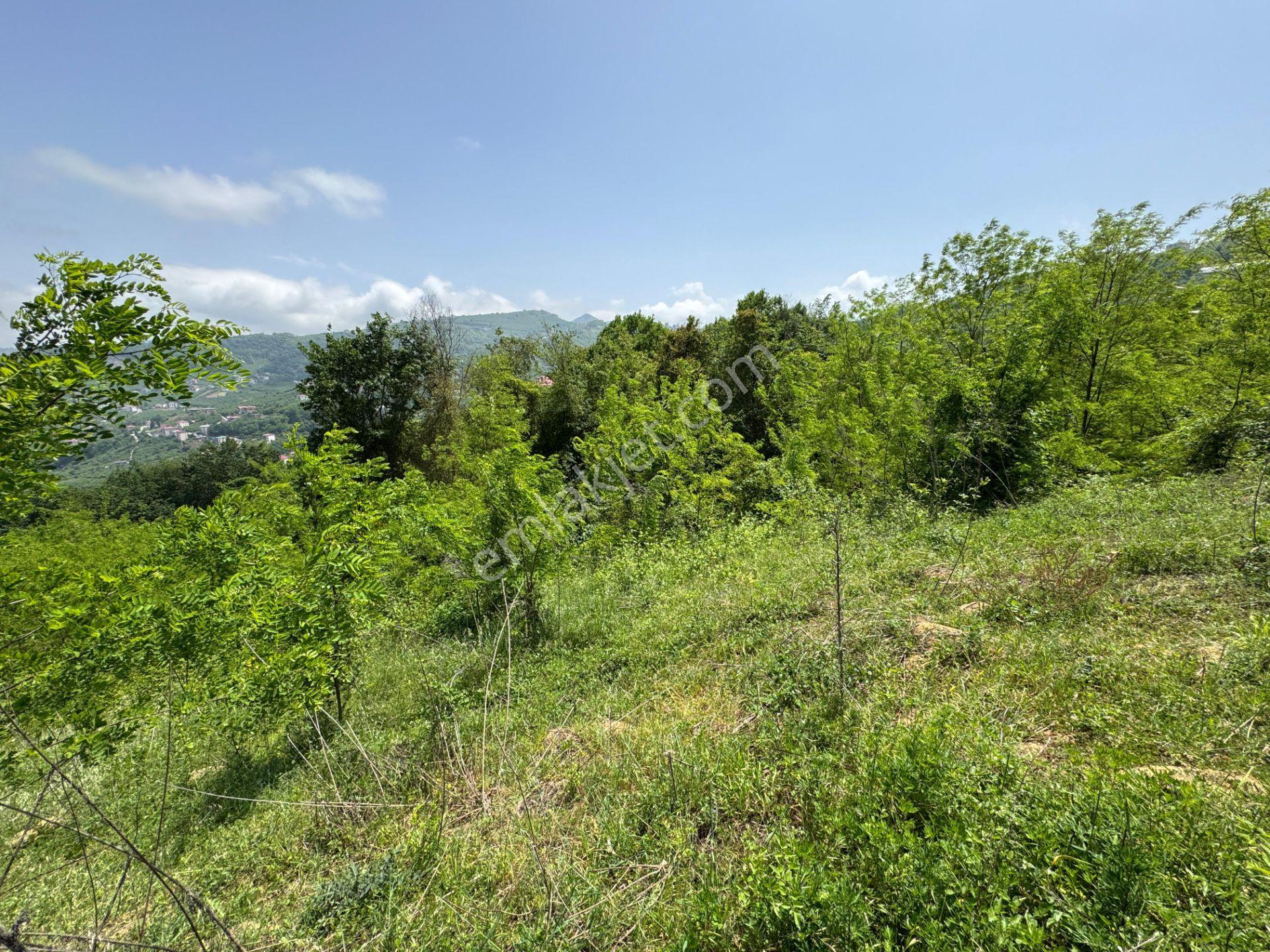Trabzon Yeşilhisar 1.477 M2 Doğa Manzaralı Satılık Arsa - Görsel 20