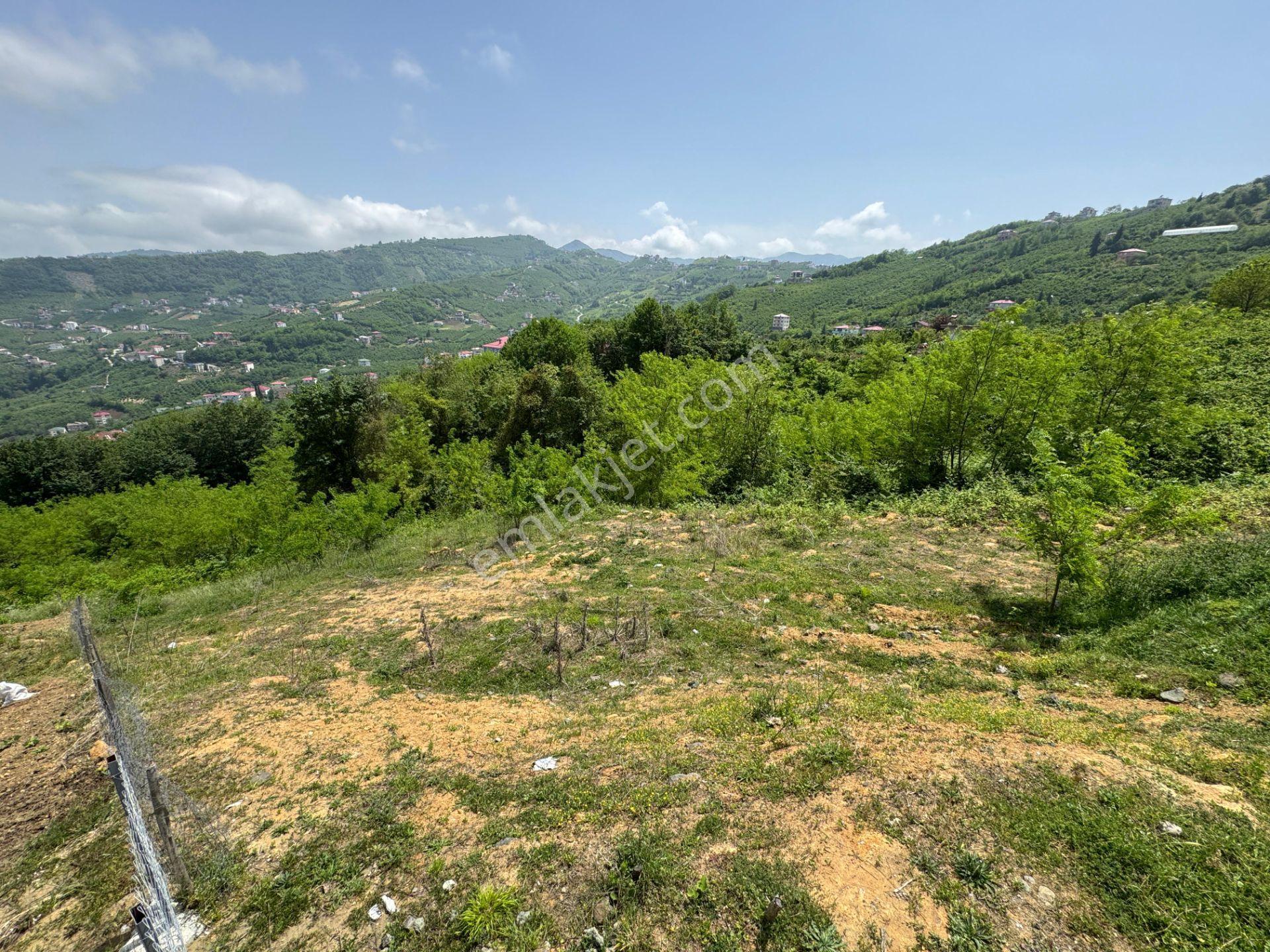 Trabzon Yeşilhisar 1.477 M2 Doğa Manzaralı Satılık Arsa - Görsel 2