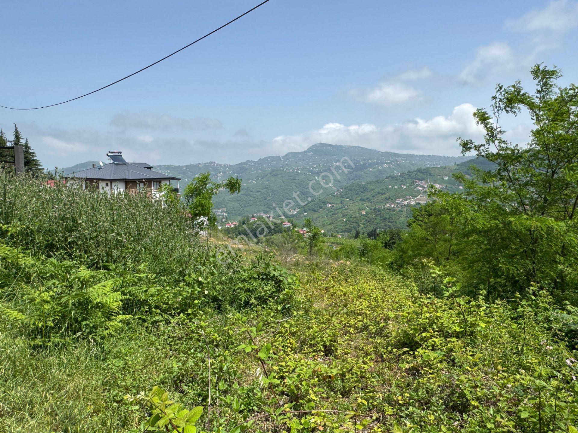 Trabzon Yeşilhisar 1.477 M2 Doğa Manzaralı Satılık Arsa - Görsel 22