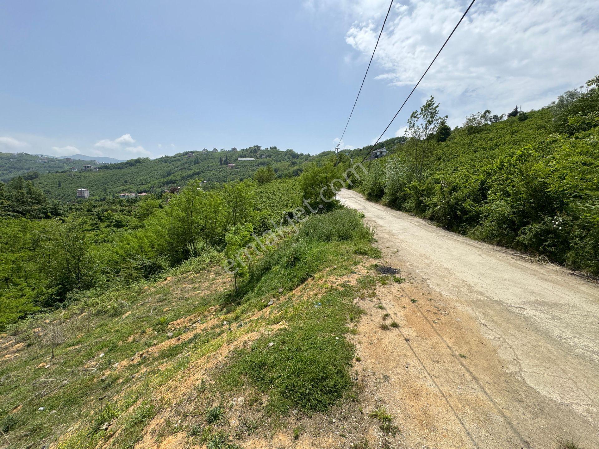 Trabzon Yeşilhisar 1.477 M2 Doğa Manzaralı Satılık Arsa - Görsel 5