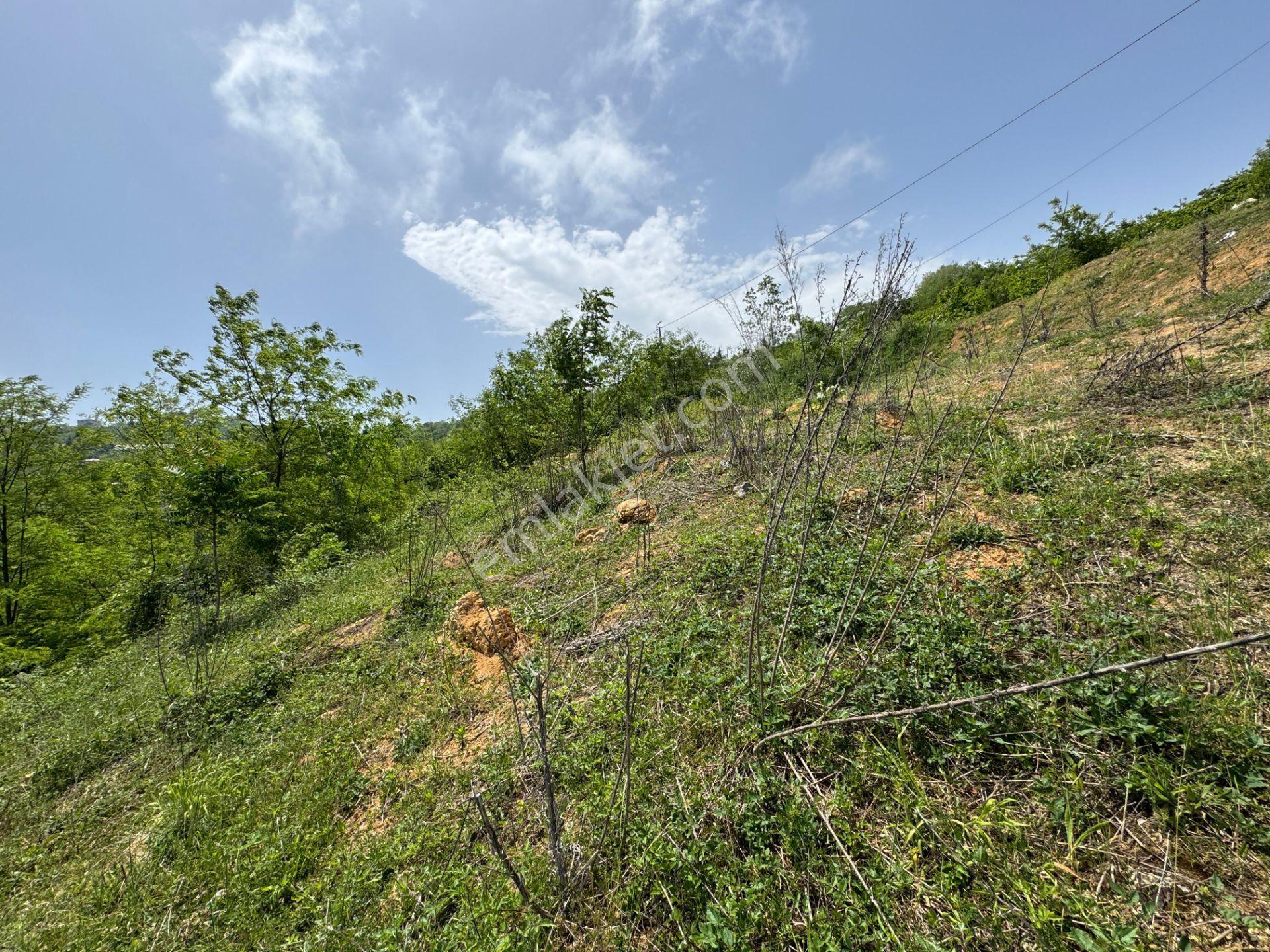 Trabzon Yeşilhisar 1.477 M2 Doğa Manzaralı Satılık Arsa - Görsel 19
