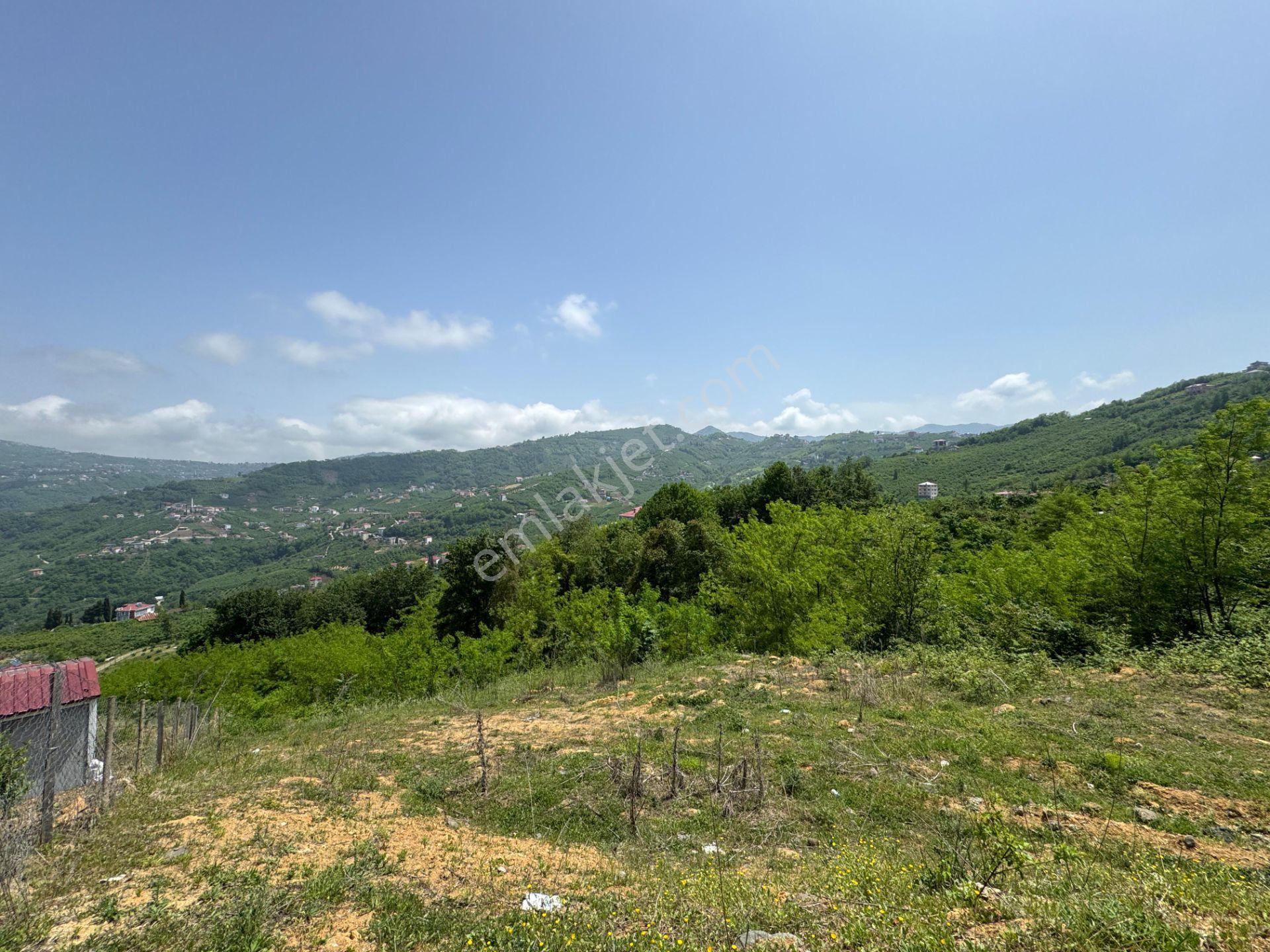 Trabzon Yeşilhisar 1.477 M2 Doğa Manzaralı Satılık Arsa - Görsel 7