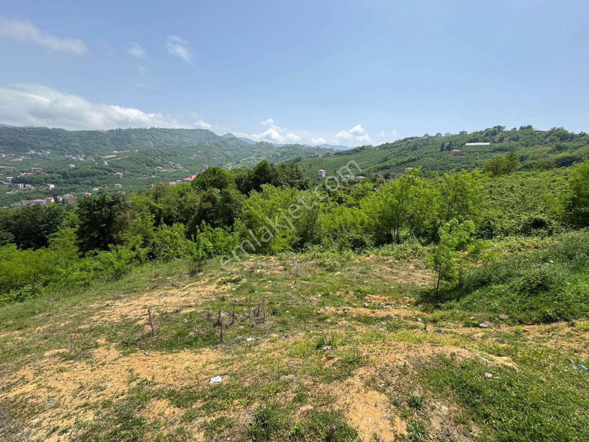 Trabzon Yeşilhisar 1.477 M2 Doğa Manzaralı Satılık Arsa - Görsel 13