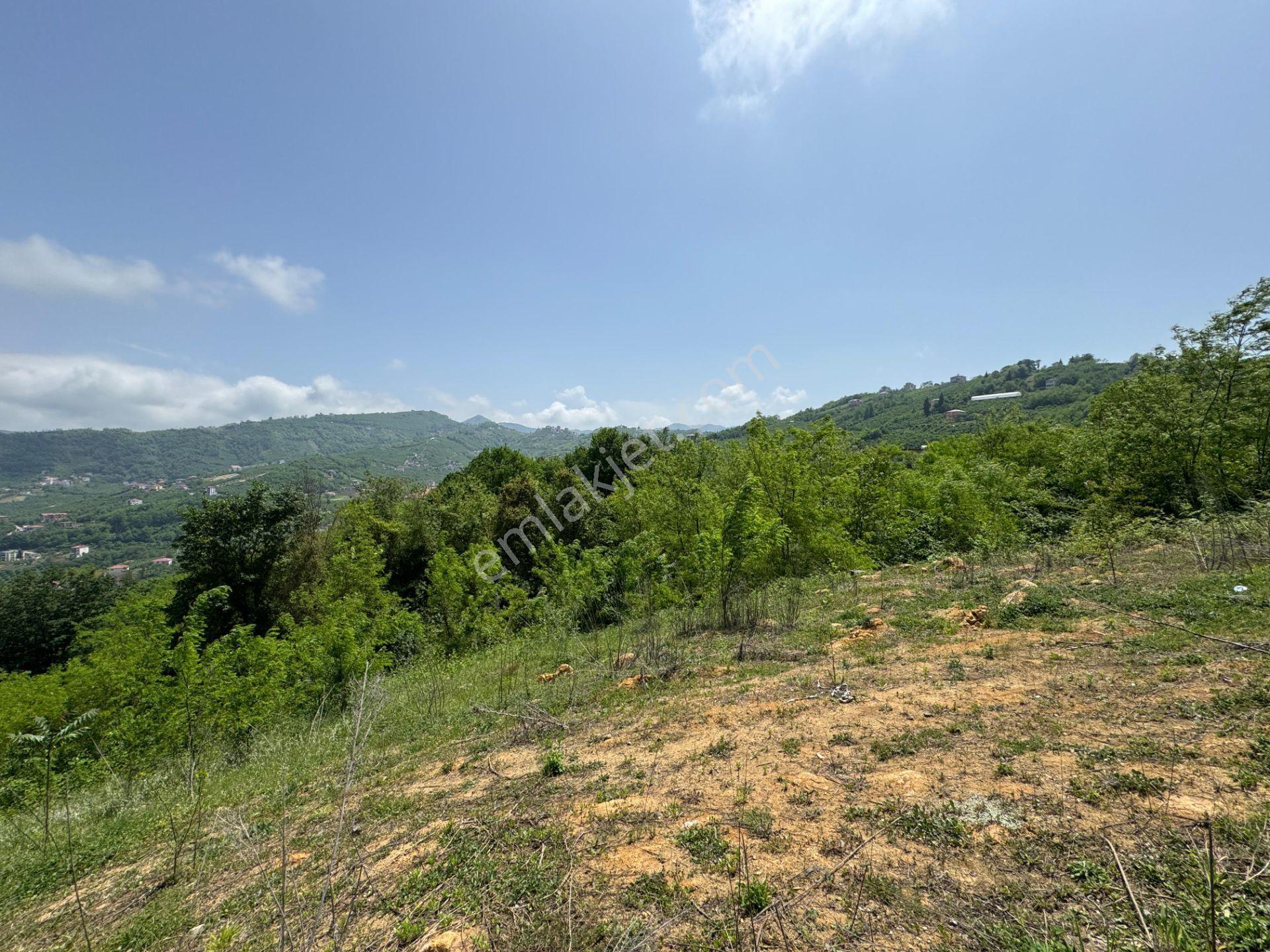 Trabzon Yeşilhisar 1.477 M2 Doğa Manzaralı Satılık Arsa - Görsel 9