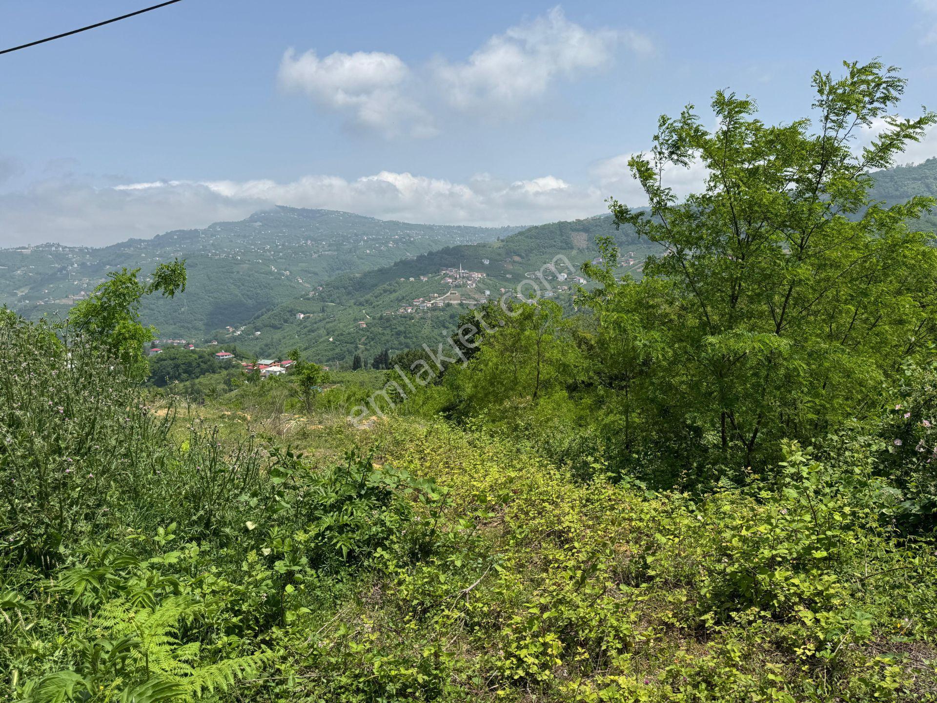 Trabzon Yeşilhisar 1.477 M2 Doğa Manzaralı Satılık Arsa - Görsel 26