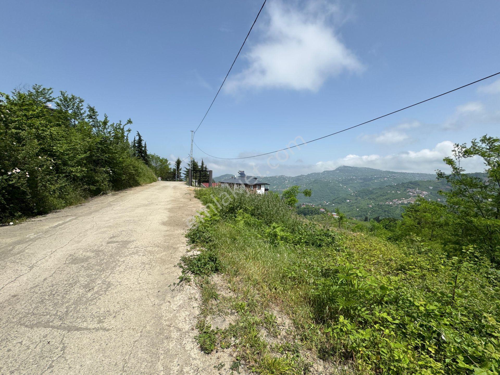 Trabzon Yeşilhisar 1.477 M2 Doğa Manzaralı Satılık Arsa - Görsel 4