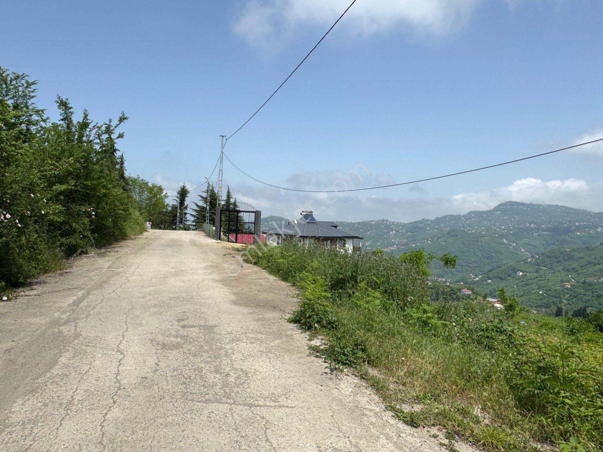 Trabzon Yeşilhisar 1.477 M2 Doğa Manzaralı Satılık Arsa - Görsel 3