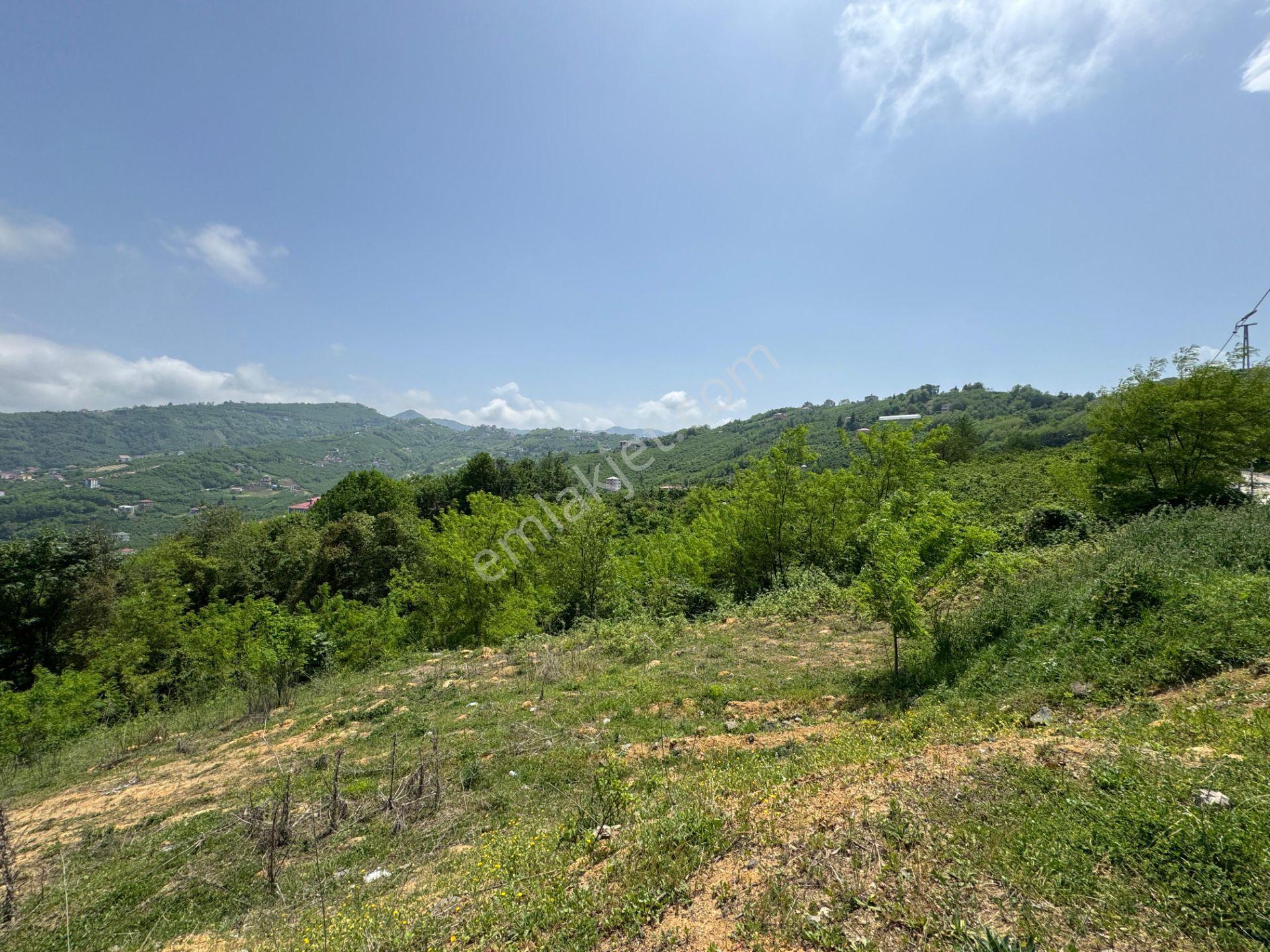 Trabzon Yeşilhisar 1.477 M2 Doğa Manzaralı Satılık Arsa - Görsel 10