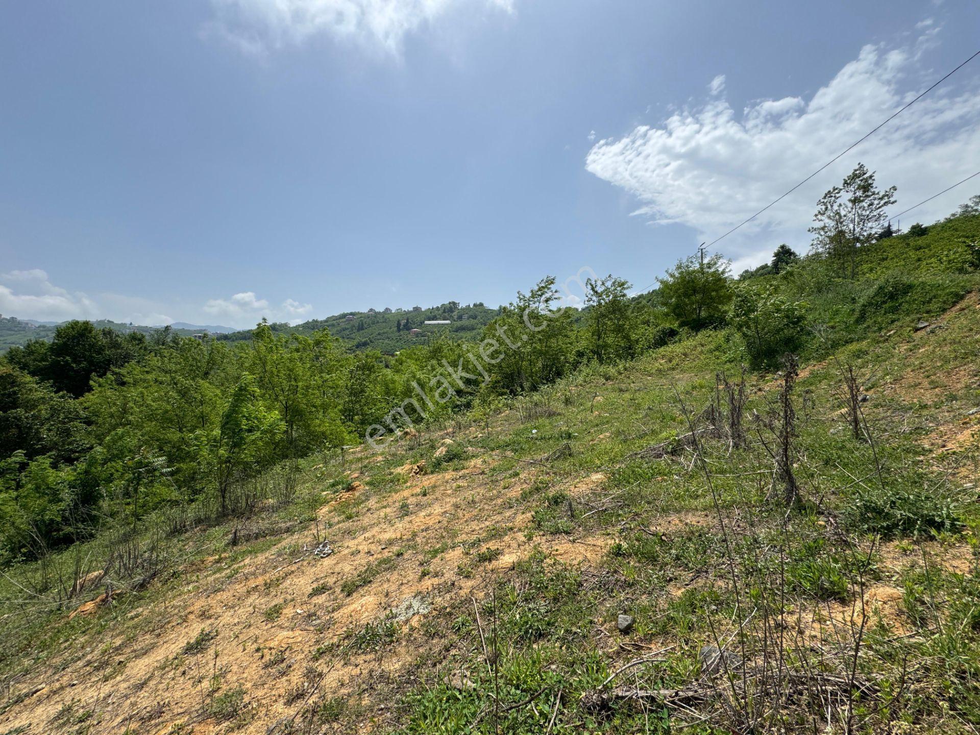 Trabzon Yeşilhisar 1.477 M2 Doğa Manzaralı Satılık Arsa - Görsel 11