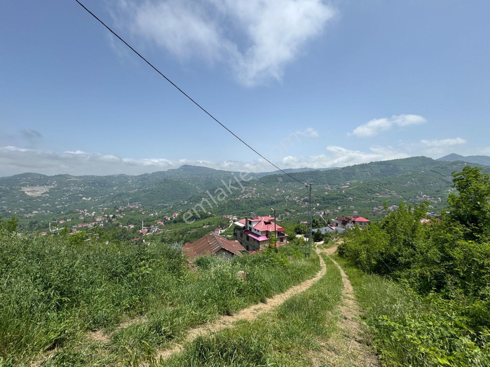 Trabzon Yeşilhisar 1.477 M2 Doğa Manzaralı Satılık Arsa - Görsel 27