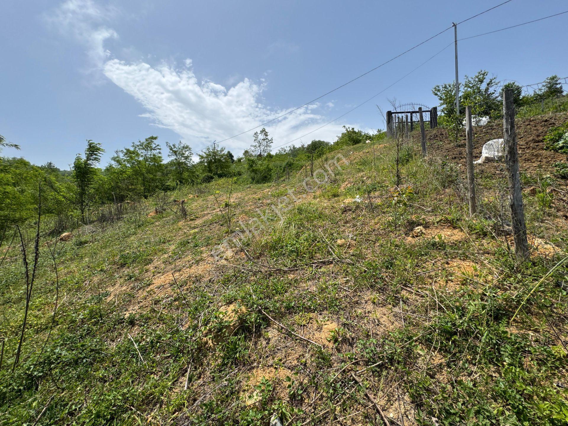 Trabzon Yeşilhisar 1.477 M2 Doğa Manzaralı Satılık Arsa - Görsel 16