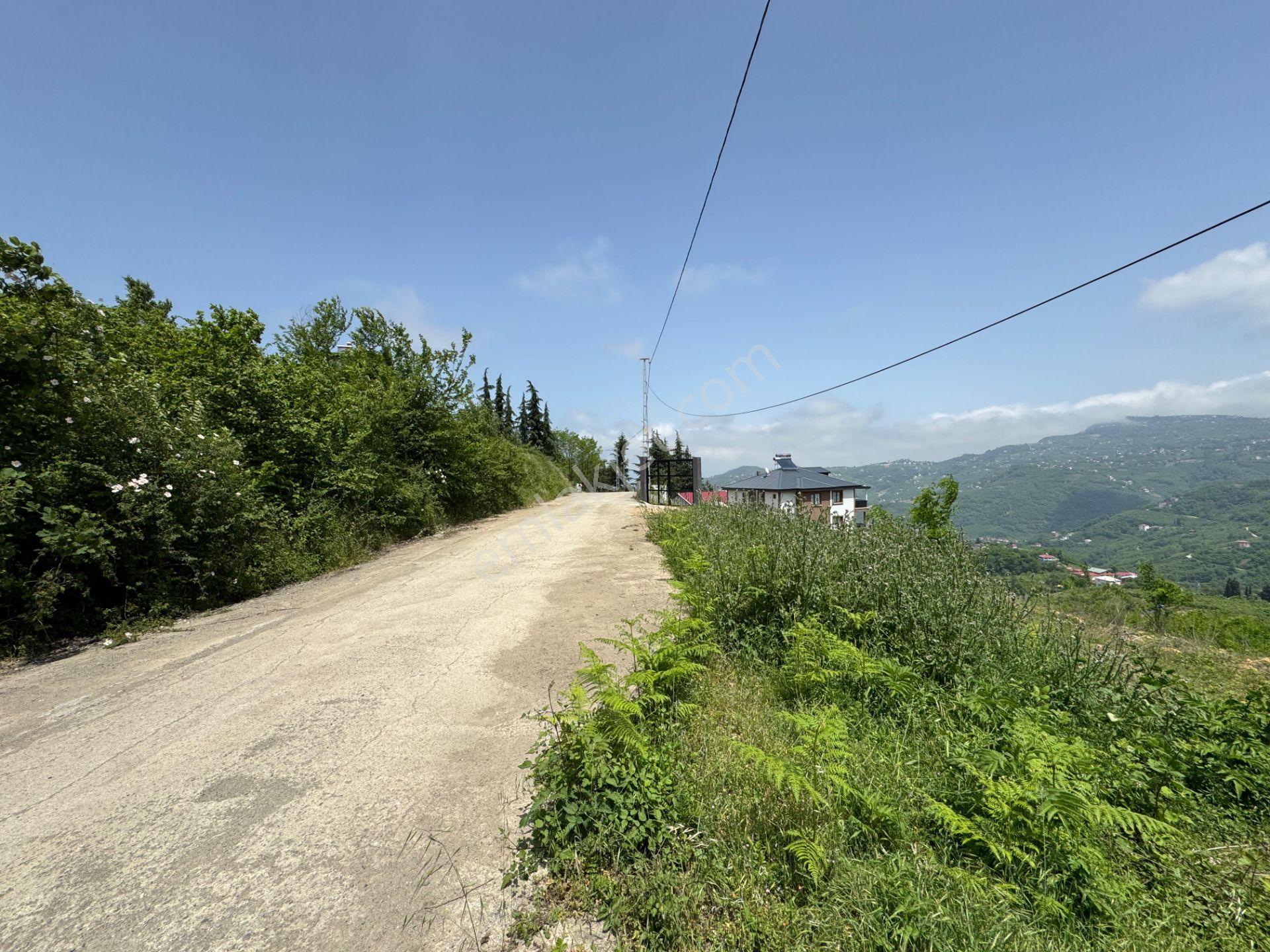 Trabzon Yeşilhisar 1.477 M2 Doğa Manzaralı Satılık Arsa - Görsel 28