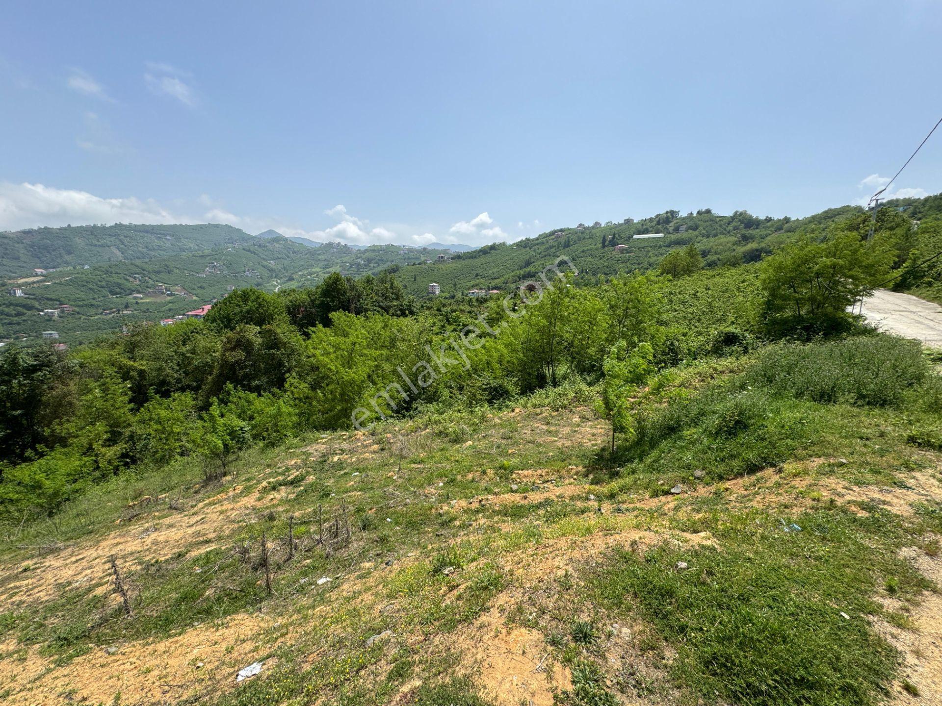 Trabzon Yeşilhisar 1.477 M2 Doğa Manzaralı Satılık Arsa