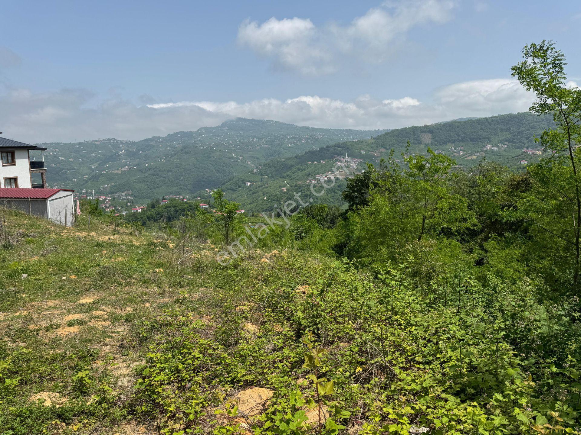 Trabzon Yeşilhisar 1.477 M2 Doğa Manzaralı Satılık Arsa - Görsel 23