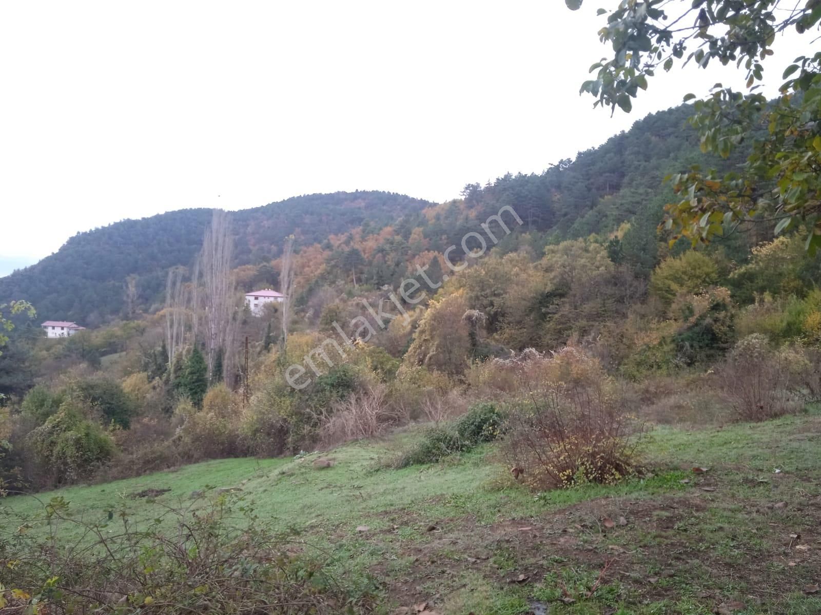 Karabük Kapullu Mahallesinde Bulunan Bahçeli Kagir Ev Ve Ahır, - Görsel 10