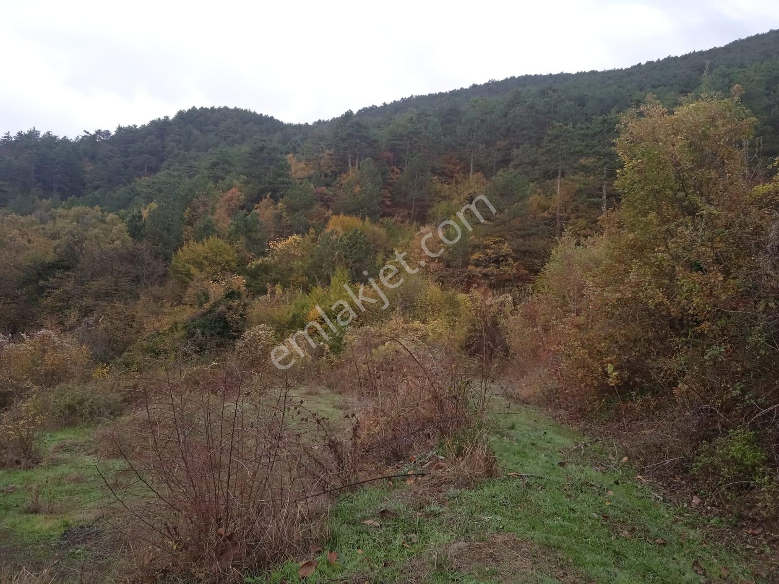 Karabük Kapullu Mahallesinde Bulunan Bahçeli Kagir Ev Ve Ahır, - Görsel 8