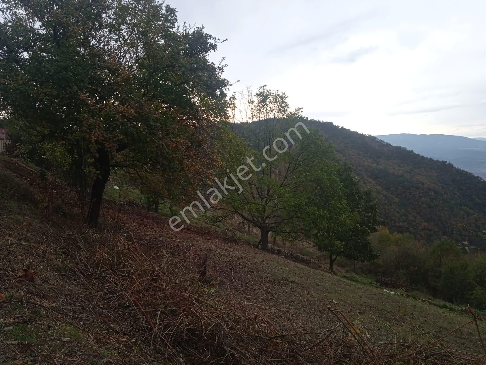 Karabük Kapullu Mahallesinde Bulunan Bahçeli Kagir Ev Ve Ahır, - Görsel 7