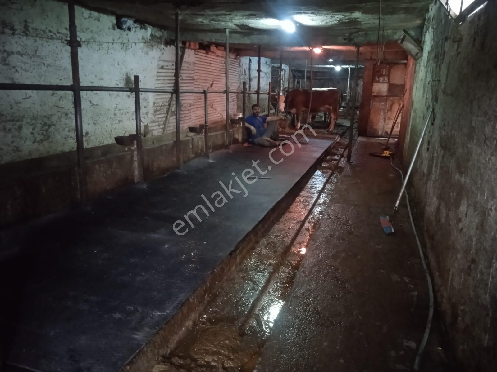 Karabük Kapullu Mahallesinde Bulunan Bahçeli Kagir Ev Ve Ahır, - Görsel 17