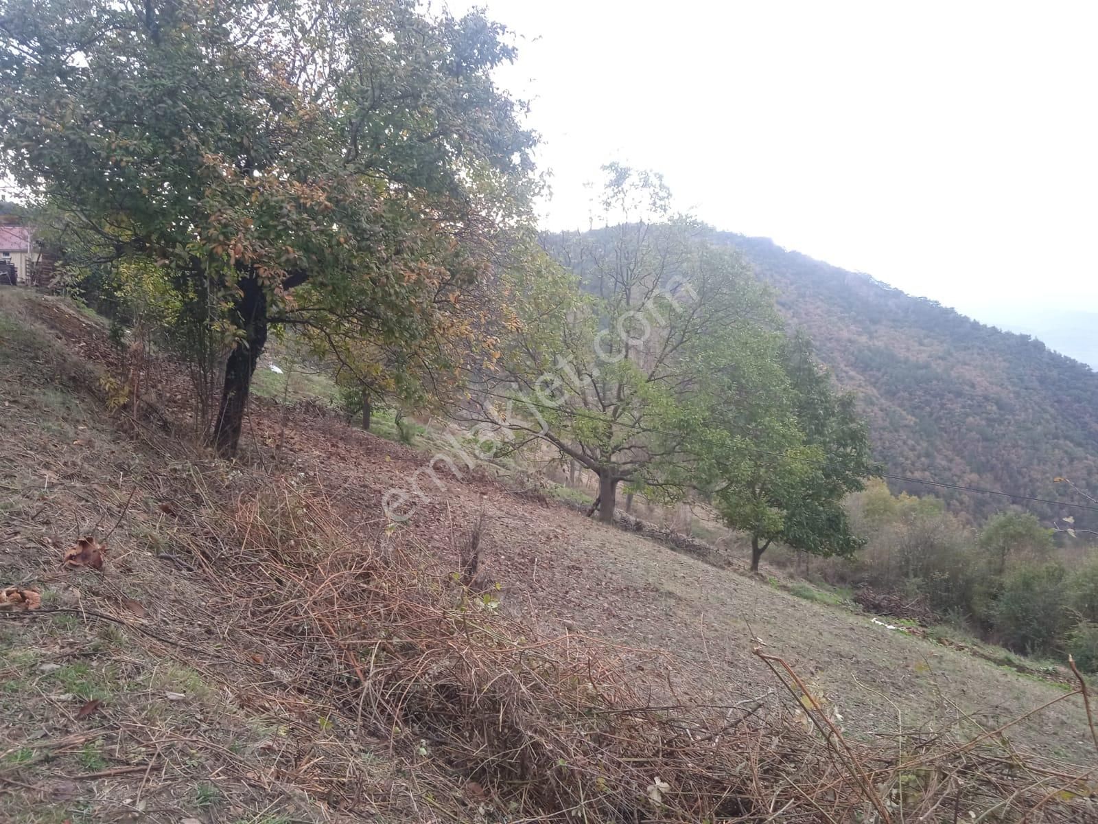 Karabük Kapullu Mahallesinde Bulunan Bahçeli Kagir Ev Ve Ahır, - Görsel 6