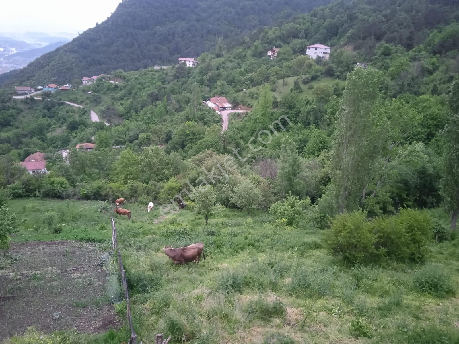 Karabük Kapullu Mahallesinde Bulunan Bahçeli Kagir Ev Ve Ahır, - Görsel 3