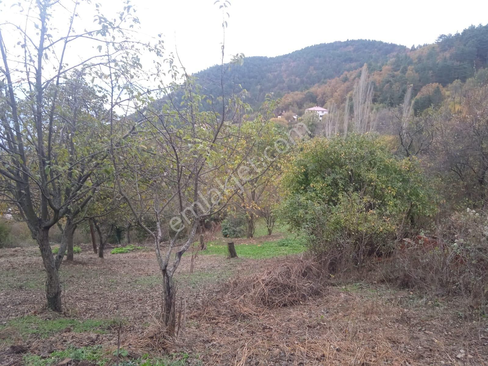 Karabük Kapullu Mahallesinde Bulunan Bahçeli Kagir Ev Ve Ahır, - Görsel 13