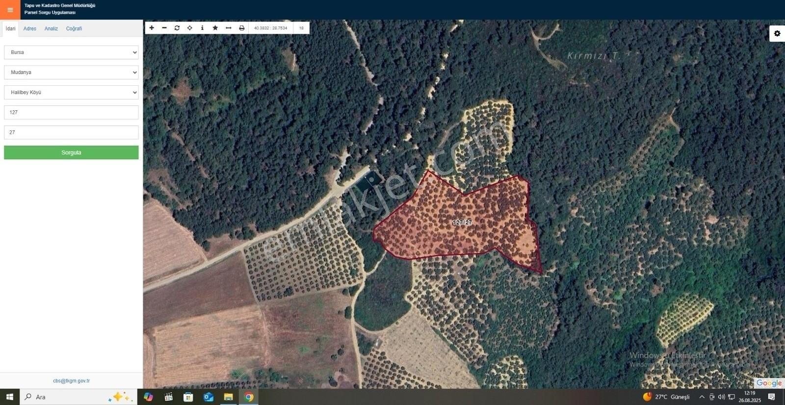 Mudanya Trilye Halilbey'de Acilll Satılık 12.836 M2 Zeytinlik - Görsel 4