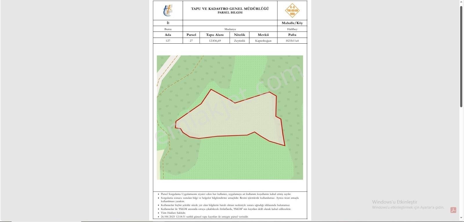 Mudanya Trilye Halilbey'de Acilll Satılık 12.836 M2 Zeytinlik - Görsel 8