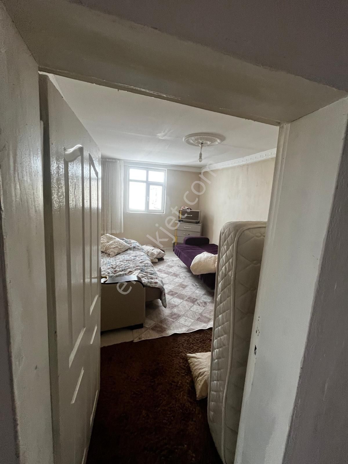 Demir Emlak Gayrimenkulden Karacaören De Satılık Çiftlik - Görsel 2