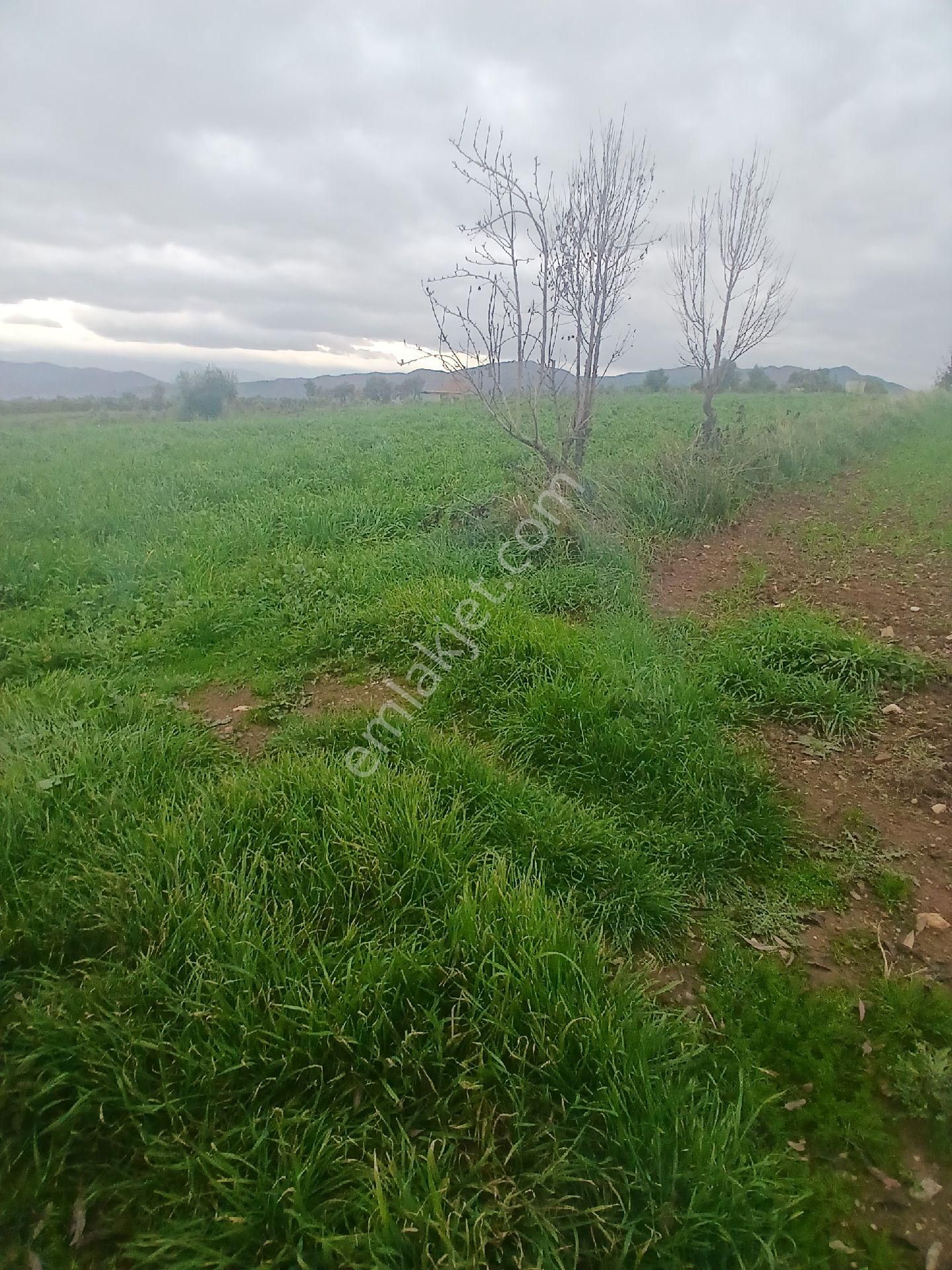 Kiraz Musluklar Mevkisinde 5.847m2 Tala Satılık - Görsel 10