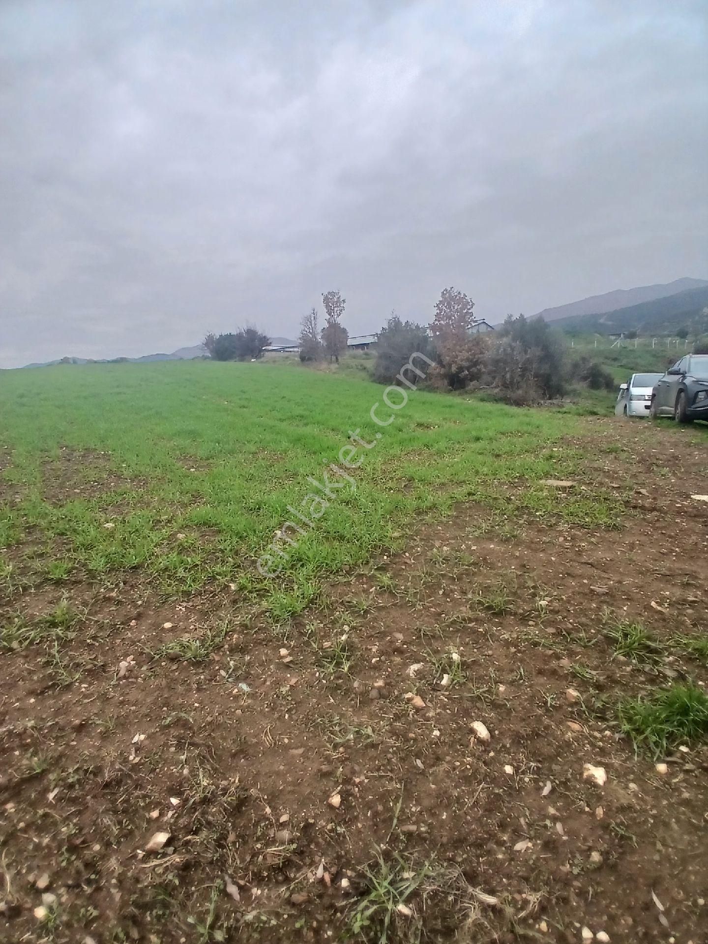 Kiraz Musluklar Mevkisinde 5.847m2 Tala Satılık - Görsel 4