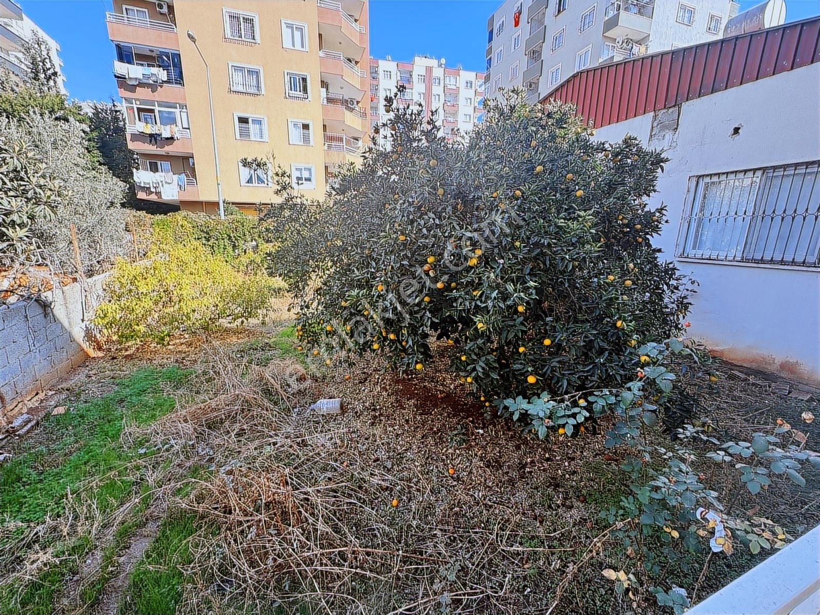 Yenişehir Merkezi Lokasyonda Satılık Arsa Ve 2 Katlı Müstakil Ev