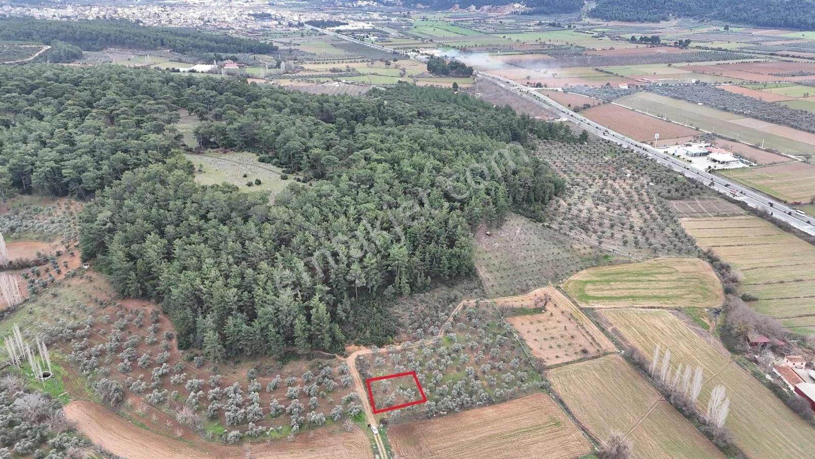 Muğla Menteşe Bayır Yanı Yatağan Yenikarakuyu Villa Arsası - Görsel 8