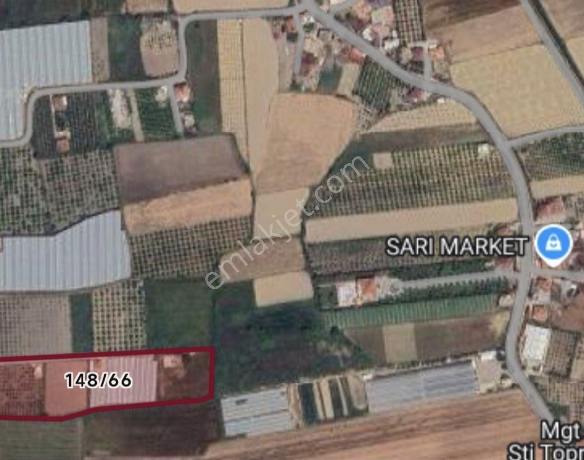 Manavgat Yeniköy Merkezde 4115m2 Satılık Tarla - Görsel 3