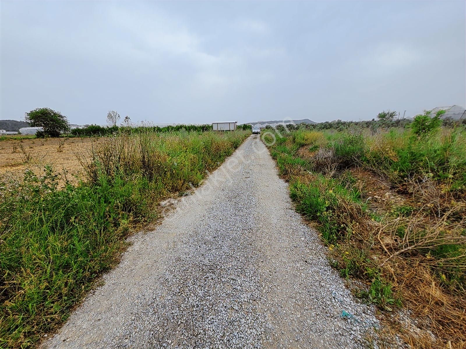 Manavgat Yeniköy Merkezde 4115m2 Satılık Tarla - Görsel 16