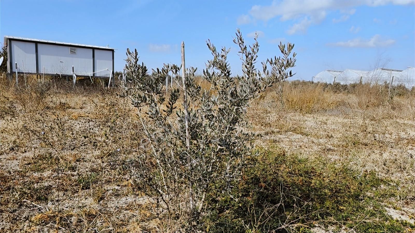 Manavgat Yeniköy Merkezde 4115m2 Satılık Tarla - Görsel 7