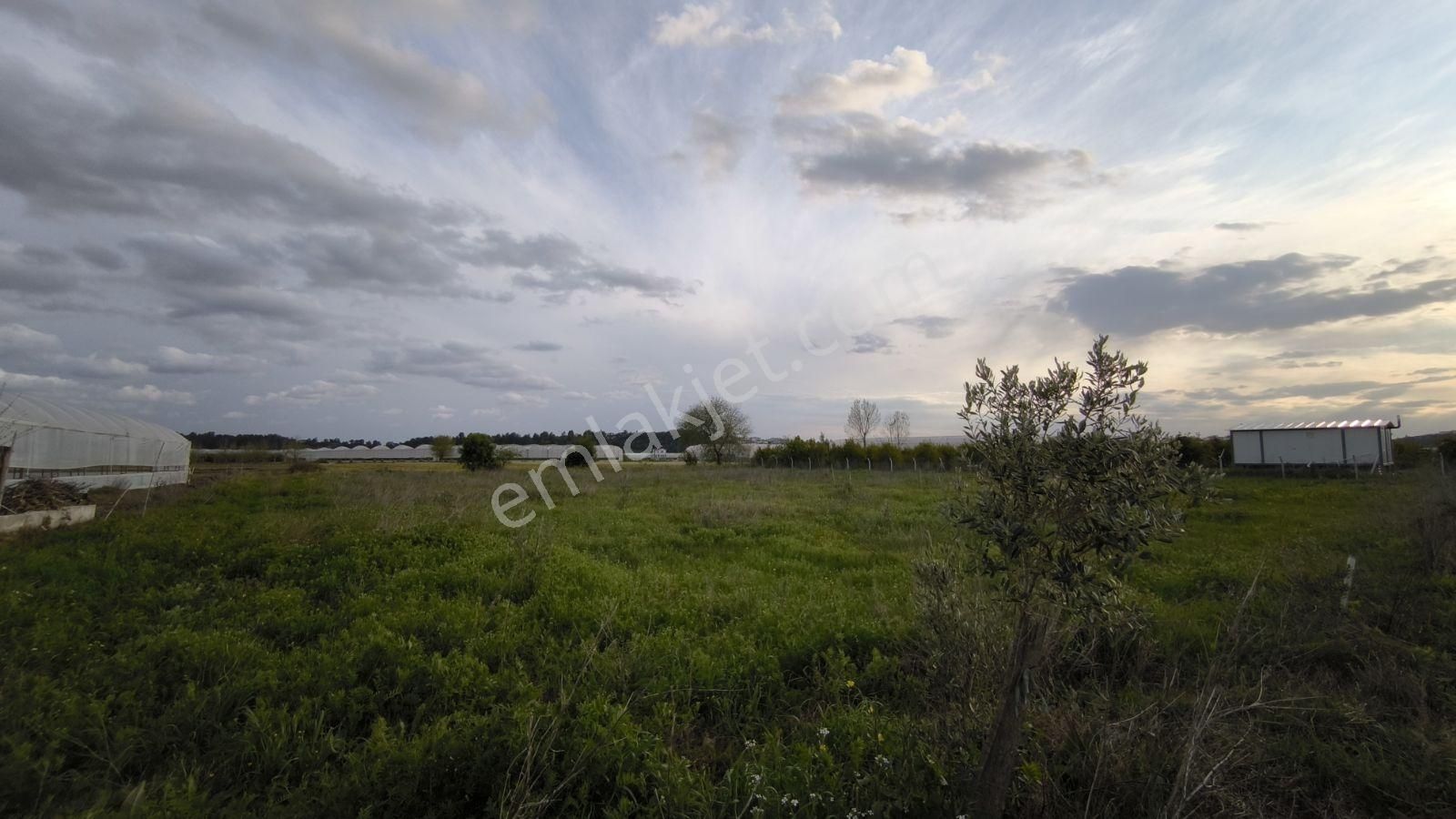 Manavgat Yeniköy Merkezde 4115m2 Satılık Tarla - Görsel 12